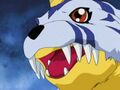 DA03 Gabumon.JPG