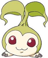 Tanemon2.jpg