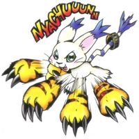 Tailmon - Wikimon - The #1 Digimon wiki  Digimon, Digimon digital  monsters, Digimon adventure tri