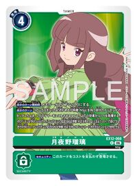 Dcg-EX12-068.jpg