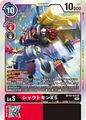 Dcg-BT10-013.jpg