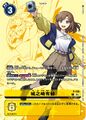 Dcg-P-136 2.jpg