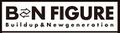 BNFigure logo.jpg