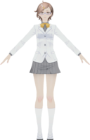Sagisaka Hiroko Model TS.png
