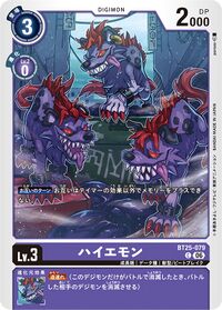 Dcg-BT25-079.jpg
