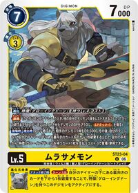 Dcg-ST23-04.jpg