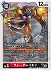 Dcg-EX12-017.jpg