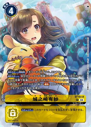 Dcg-ST19-14 2.jpg