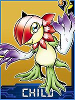 Floramon Collectors Child Card.jpg