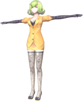 Rie dscs model.png