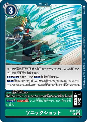 Dcg-BT24-095.jpg