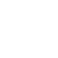 DSTS Icon Attribute NoData.png