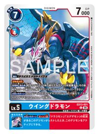Dcg-EX13-021.jpg