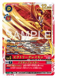 Dcg-EX14-012.jpg