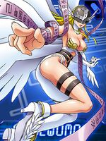 Angewomon collectors card.jpg