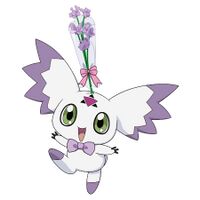 Culumon celebration25th.jpg