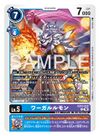 Dcg-EX12-032.jpg