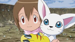 Hikari y Gatomon  Digimon adventure tri, Digimon adventure, Digimon  digital monsters