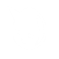 DSTS Icon Attribute Free.png