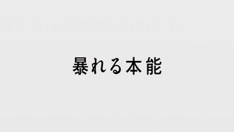 DB35 prev jp.jpg