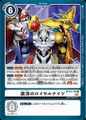 Dcg-BT13-110.jpg