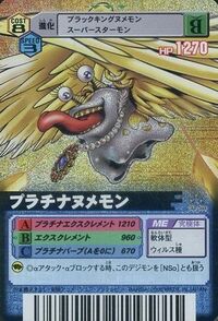 DM-034.jpg