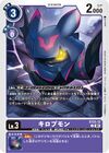 Dcg-ST23-12.jpg