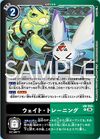 Dcg-LM-065.jpg