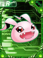 Koromon Evolution Chart