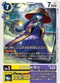 Dcg-EX11-022.jpg