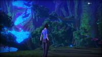 Akashic Forest.jpg