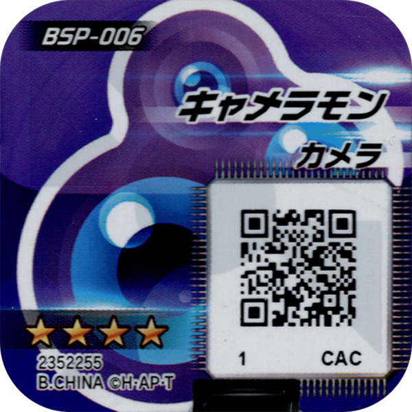 File:BSP-006 reverse qr.png