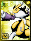 Renamon re+ collectors.png