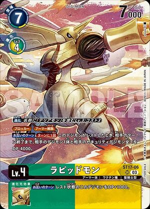 Dcg-ST17-06 3.jpg