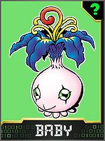 Piyokomon Collectors Baby Card.jpg