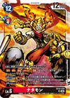 Dcg-EX12-019.jpg
