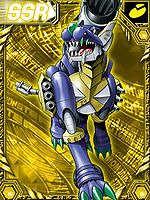 Zdgarurumon re collectors card.jpg