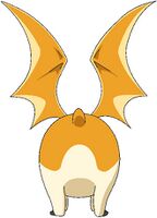 Patamon back.jpg