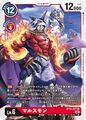 Dcg-BT11-017.jpg