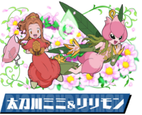 Pazudora mimi lilimon.png