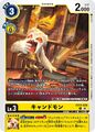 Dcg-EX13-025.jpg