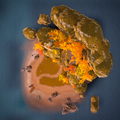 Thumbnail for version as of 17:03, 7 September 2026