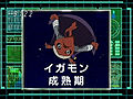 Digimon analyzer ds igamon jp.jpg