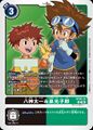 Dcg-ST20-13.jpg