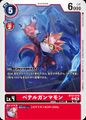 Dcg-BT21-019.jpg