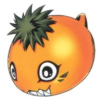 Cotsucomon - Wikimon - The #1 Digimon wiki