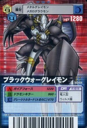 DM-081.jpg