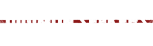 Digimonseekers logo.png