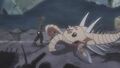 DB39 Anomalocarimon.jpg
