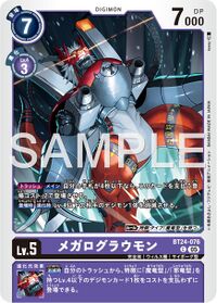 Dcg-BT24-076.jpg